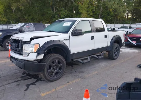 2009 Ford F150 Fx4/King Ranch/Lariat/Platinum/Xl/Xlt z USA, uszkodzony, nr VIN 1FTPW14V09FB36485